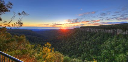 Canyon Lookout - Springbrook National Park - QLD T (PB5D 00 3897)